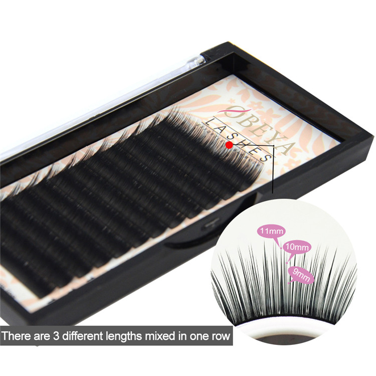 Where To Get Eyelashes camellia Eyelash Extensions Y33